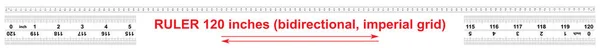 Regla bidireccional 120 pulgadas. El precio de la división es de treinta pulgadas segunda parte. Herramienta de medición precisa. Rejilla de calibración . — Archivo Imágenes Vectoriales