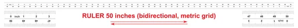 Règle bidirectionnelle 50 pouces. Grille d'étalonnage métrique. Le prix de division est de 0,05 pouce. Outil de mesure précis . — Image vectorielle