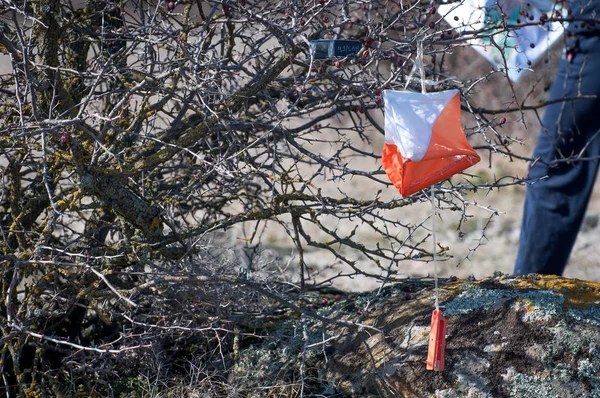 Orienteering. Check point Prism and electronic composter for orienteering close-up. Navigation equipment. The concept.