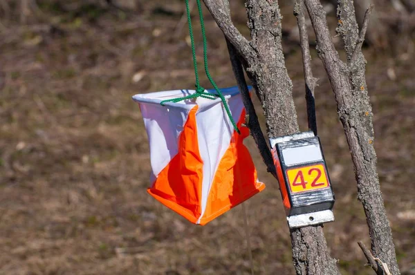 Orienteering. Check point Prism and electronic composter for orienteering close-up. Navigation equipment. The concept.