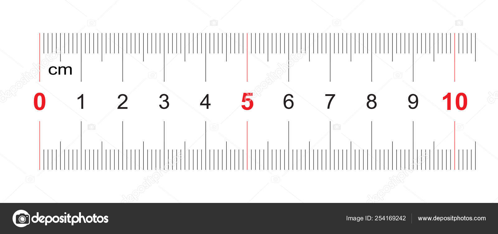 Ruler Of 100 Millimeters Ruler Of 10 Centimeters Calibration Grid Value Division 1 Mm Precise Length Measurement Device Two Sided Measuring Instrument Stock Vector Image By C Snik