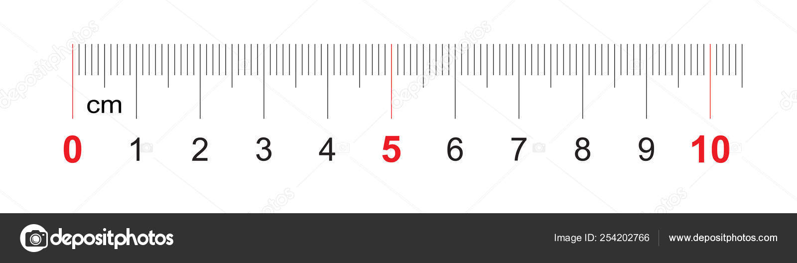 100 mm 2024 in ruler