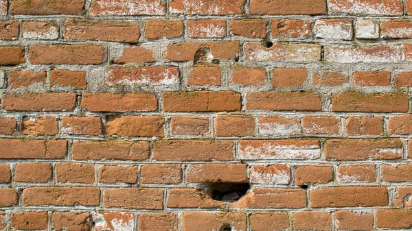 Primer plano de la pared de ladrillo. Puesta de ladrillo sobre mortero de cemento . — Foto de Stock