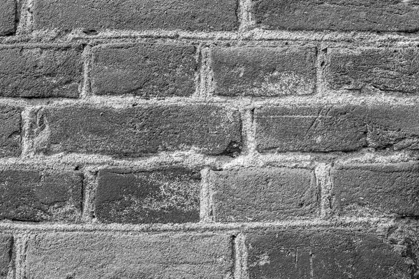 Brick wall close-up. Brick laying on cement mortar.