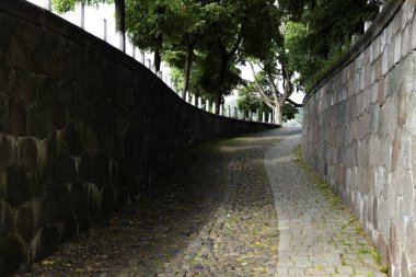 Asfalt yol yukarı çıkıyor.