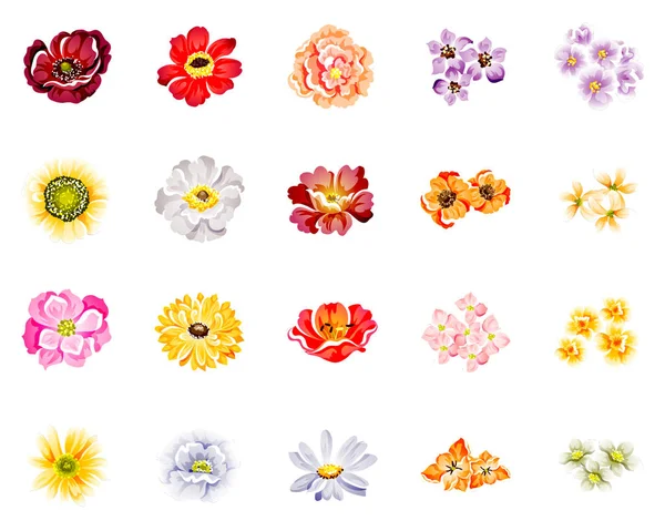 Ensemble Quatre Fleurs Colorées Isolées Sur Fond Blanc — Image vectorielle