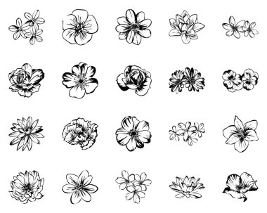 Vintage tarzı farklı çiçek kümesi