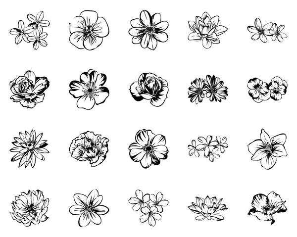 Set Different Flowers Vintage Style — Stock Vector