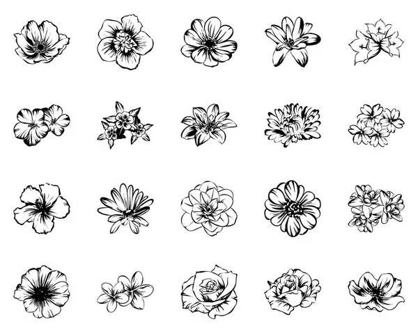 Vintage tarzı farklı çiçek kümesi