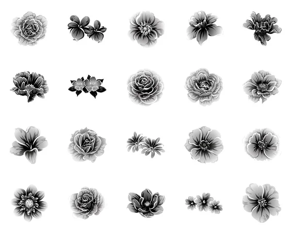 Набір Різних Квітів Вінтажному Стилі — стоковий вектор