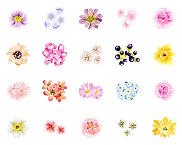 Conjunto Flores Colores Aislados Sobre Fondo Blanco — Vector de stock
