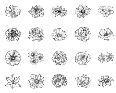 Vintage tarzı farklı çiçek kümesi