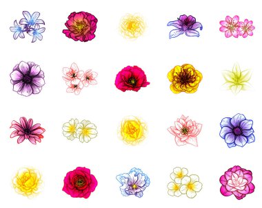 Beyaz arkaplanda izole edilmiş renkli çiçek seti