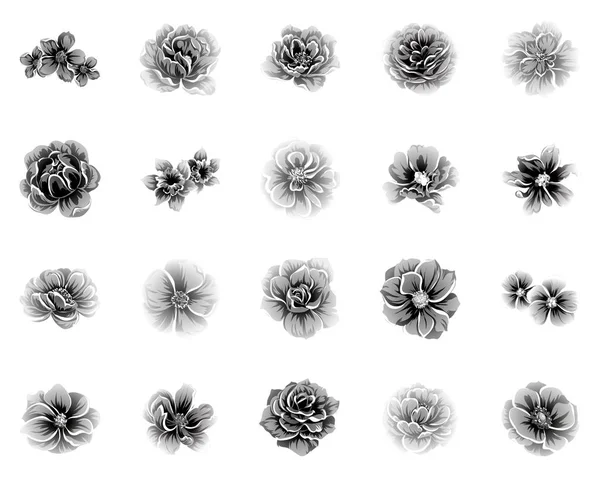 Набір Різних Квітів Вінтажному Стилі — стоковий вектор