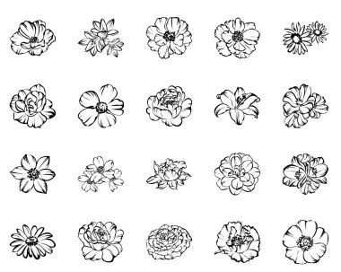 Vintage tarzı farklı çiçek kümesi