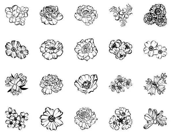 Verschillende Bloemen Geïsoleerd Witte Achtergrond — Stockvector