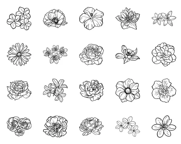 Patrón Flores Estilo Vintage Sin Costuras Elementos Florales Blanco Negro — Vector de stock