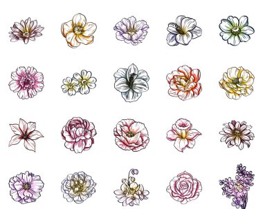 Sorunsuz vintage tarzı çiçek deseni. Renkli çiçek öğeleri