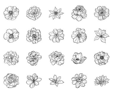 Sorunsuz vintage tarzı çiçek deseni. Siyah ve beyaz çiçek öğeleri.