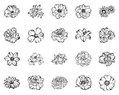 Sorunsuz vintage tarzı çiçek deseni. Siyah ve beyaz çiçek öğeleri.