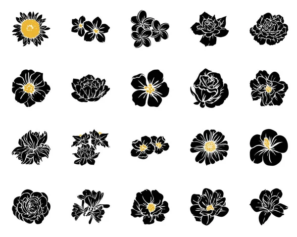 Modèle Fleur Style Vintage Sans Couture Eléments Floraux Noir Blanc — Image vectorielle