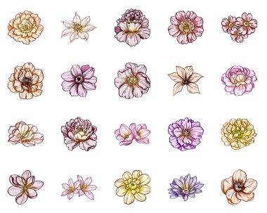 Sorunsuz vintage tarzı çiçek deseni. Renkli çiçek öğeleri