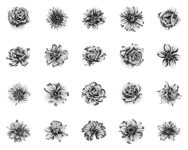 Векторна Ілюстрація Тла Вінтажних Квітів — стоковий вектор