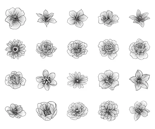 Illustration Vectorielle Fleurs Vintage Motif Fond — Image vectorielle