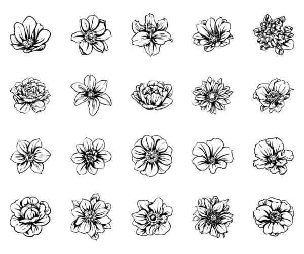 Vektorillustration Vintage Blommor Mönster Bakgrund — Stock vektor