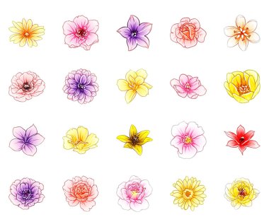 vektör çizim parlak çiçek desen arka plan