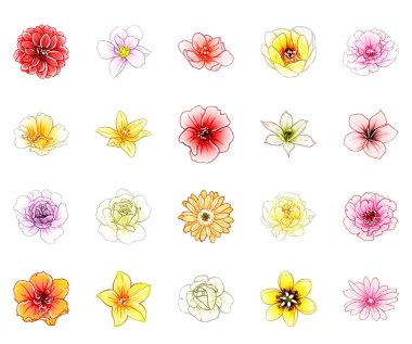 vektör çizim parlak çiçek desen arka plan