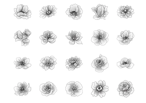 Illustrazione Vettoriale Fiori Vintage Modello Sfondo — Vettoriale Stock