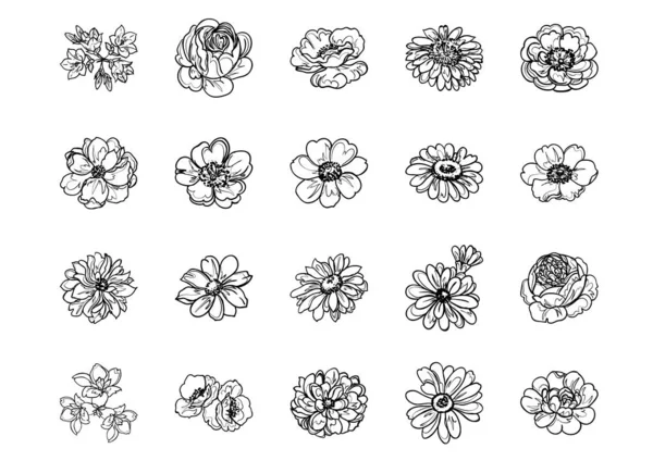 Illustration Vectorielle Fleurs Vintage Motif Fond — Image vectorielle