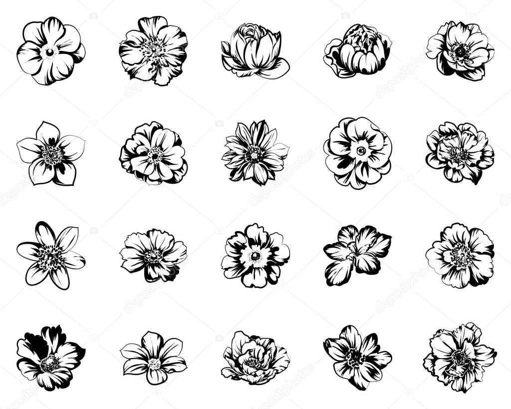 vector illustration of vintage flowers pattern background