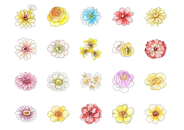 Colourful vintage style flowers on white background