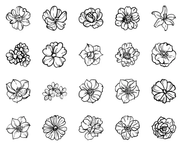 Sømløs Monokrom Årgangstype Blomster Mønster – stockvektor