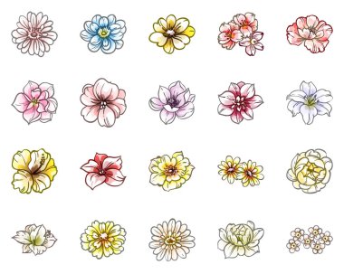 Renkli çiçekler, pürüzsüz arkaplan, vektör illüstrasyon pankartı