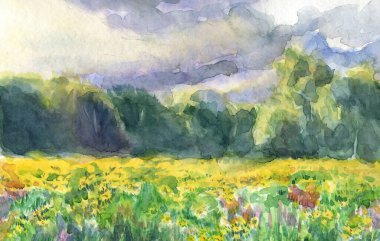 Manzara, yaz, çiçekli tarla, orman