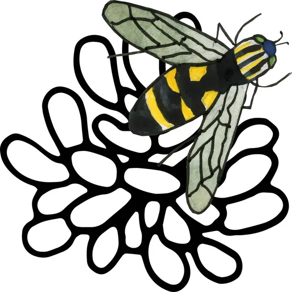 Fliege Wespe Wildblume Wiesenklee — Stockvektor