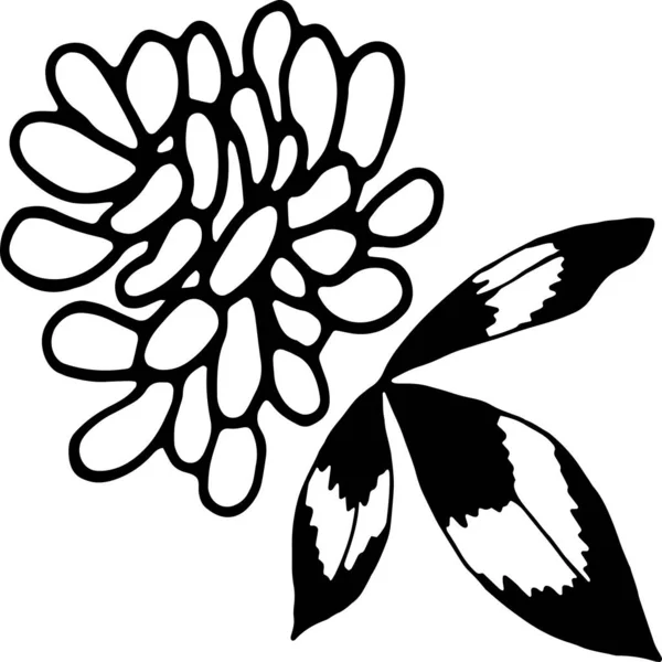 草原のクローバー 野の花 — ストックベクタ