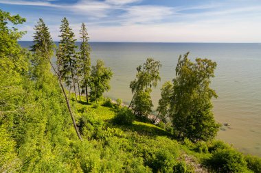 Park Toila-Oru, görünümü, Baltık Denizi, Toila, Estonya
