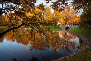 Saint Petersburg, Rusya Federasyonu - Michael Garden'da günbatımı (Mikhaylovskiy Sad)