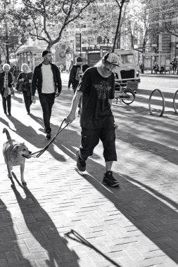 Market street, San Francisco, ABD, 7 Aralık 2017