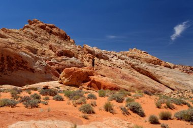 İtfaiye Vadisi Parkı, Nevada, ABD
