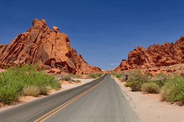 İtfaiye Vadisi Parkı, Nevada, ABD