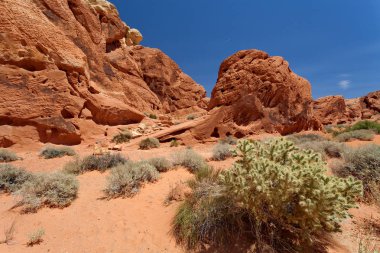İtfaiye Vadisi Parkı, Nevada, ABD