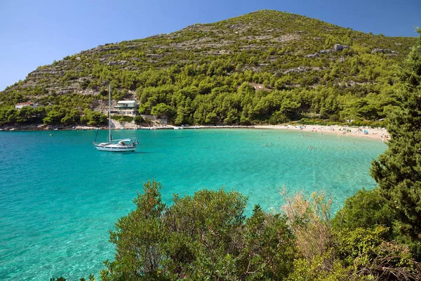 Península Peljesac Dalmácia Croácia — Fotografia de Stock