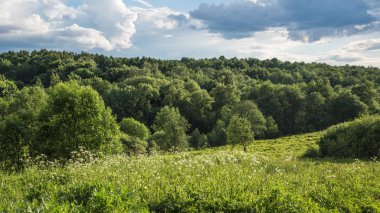 Panoramik yaz doğal arka plan-gün batımında tepelerde taze çim çim
