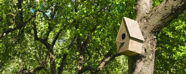 庭の木の上の鳥のための木造の家 — ストック写真