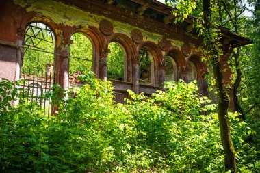 Ormanda ağaçlar ve çalılarla kaplı eski bir binanın terk edilmiş kalıntıları.